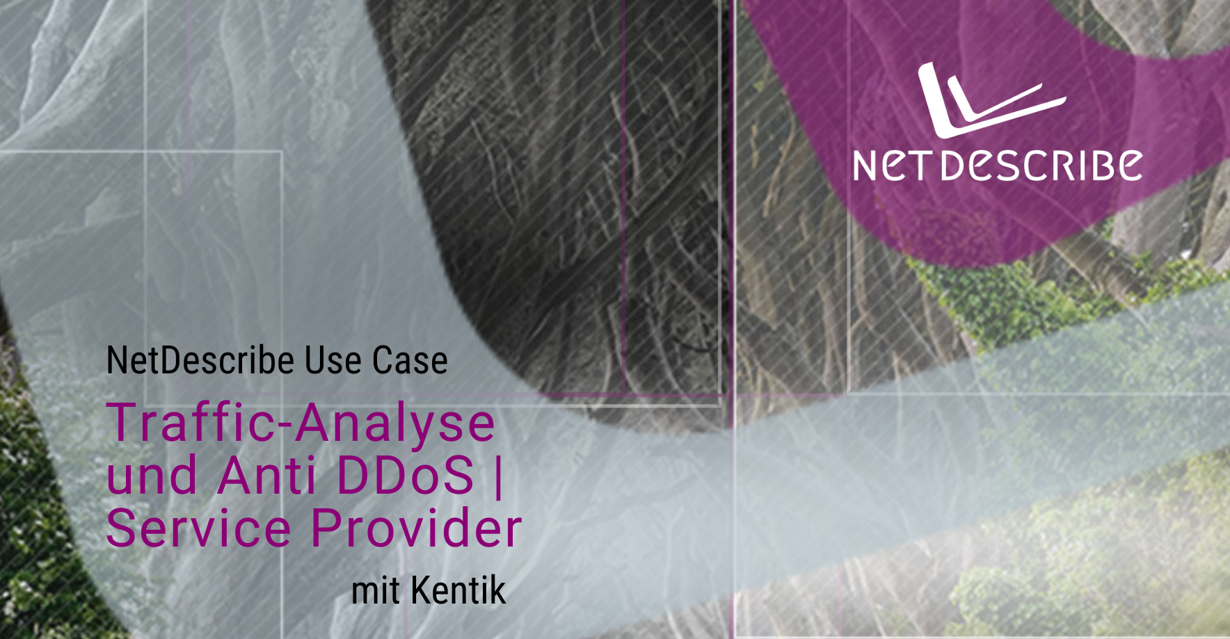 NetDescribe Use-Case – Traffic-Analyse und Anti DDoS für Service Provider mit Kentik