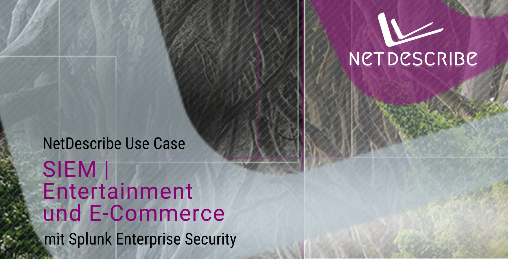 NetDescribe Use-Case – SIEM | Entertainment und E-Commerce mit Splunk Enterprise Security