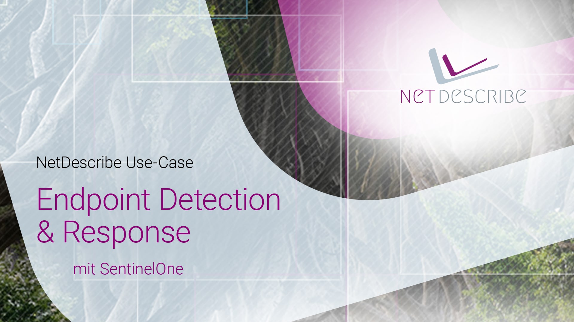 NetDescribe Use-Case – Endpoint Detection & Response mit SentinelOne